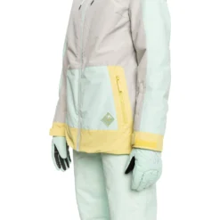 Roxy Ravine Hoodie Snowboard Jacket - Womens 20 Roxy Ravine Hoodie Snowboard Jacket - Womens -Volcom Sales Store ERJTJ03392SFV0Alternate3